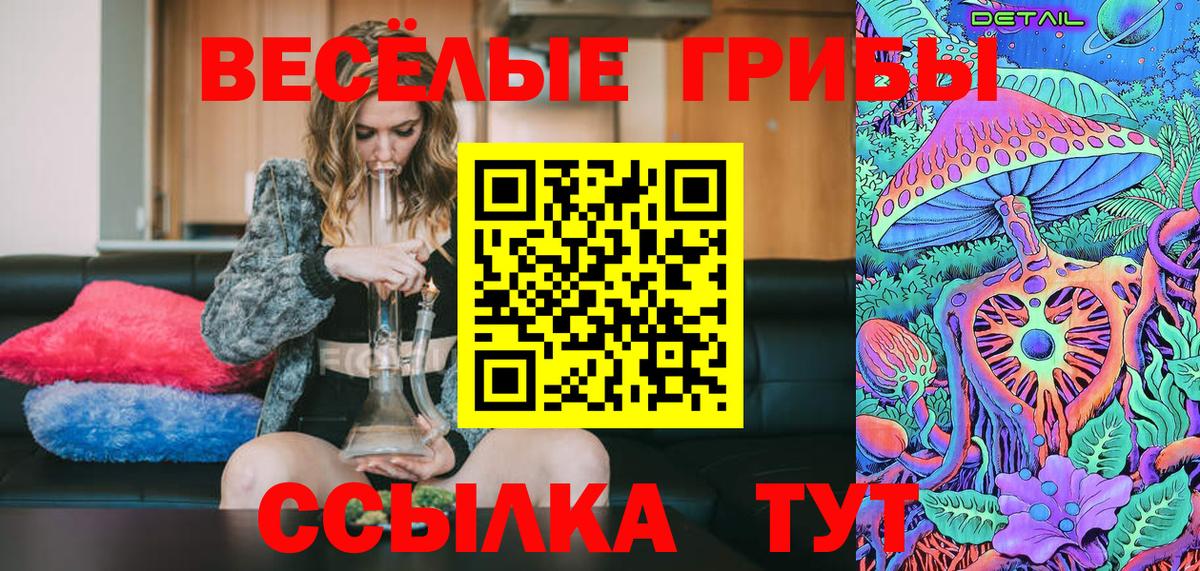 Галлюциногенные грибы Cubensis  Вход с VPN  Беслан 