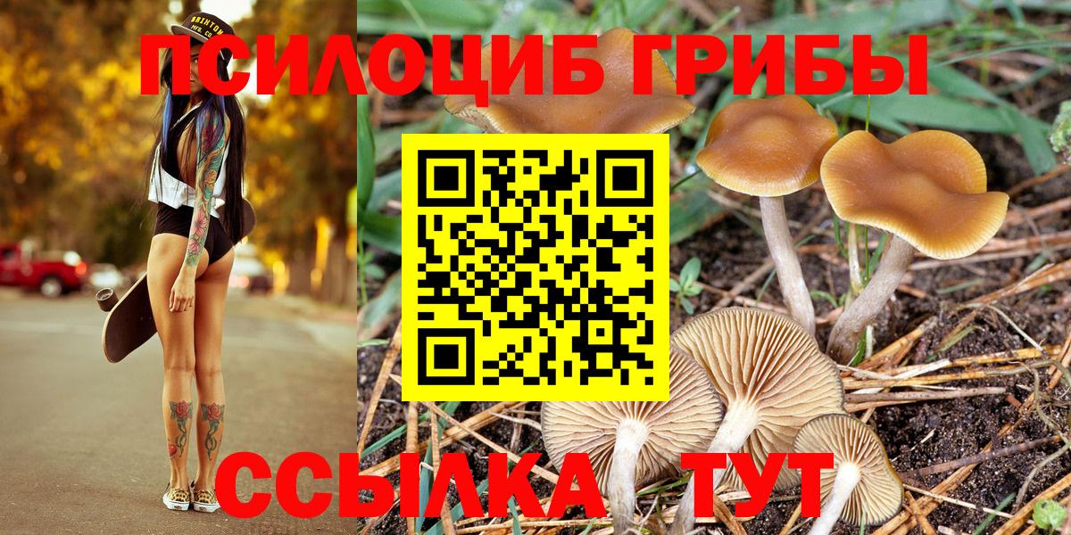 Галлюциногенные грибы Cubensis Беслан